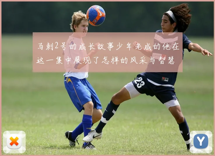 马刺2号的成长故事少年老成的他在这一集中展现了怎样的风采与智慧