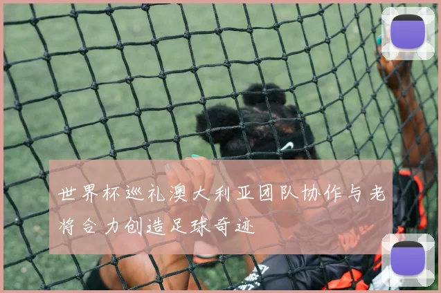 世界杯巡礼澳大利亚团队协作与老将合力创造足球奇迹