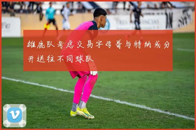 雄鹿队考虑交易字母哥与特纳或分开送往不同球队
